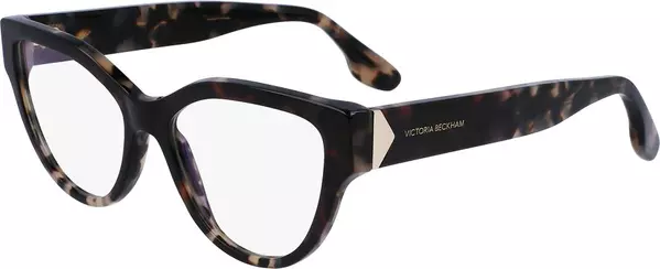 Black Plastic Glasses (Frames)