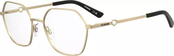 Gold Metal Glasses (Frames)