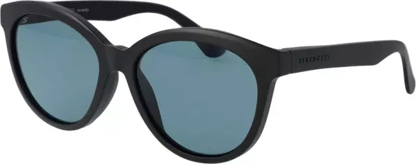 Black Plastic Sunglasses