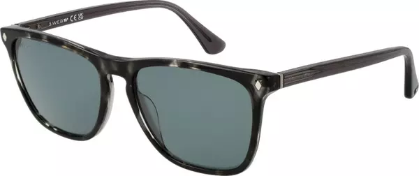 Black Acetate Sunglasses