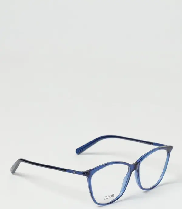 Blue Plastic Glasses (Frames)