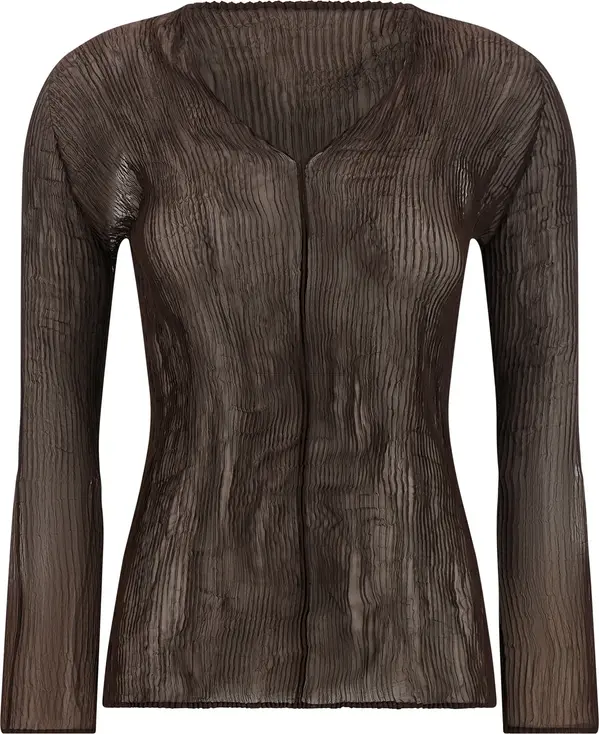 Brown Polyester Blouse