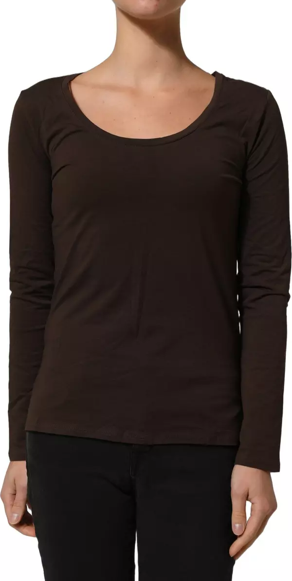 Brown Long Sleeves Round Neck Top