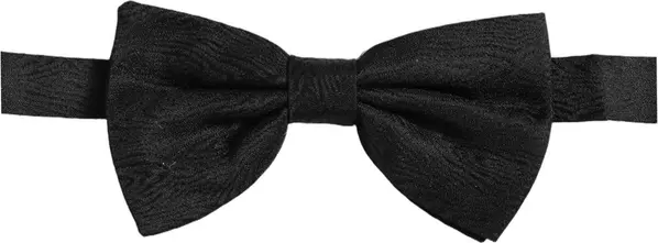 Men Dark Gray Silk Brocade Adjustable Neck Papillon Bow Tie
