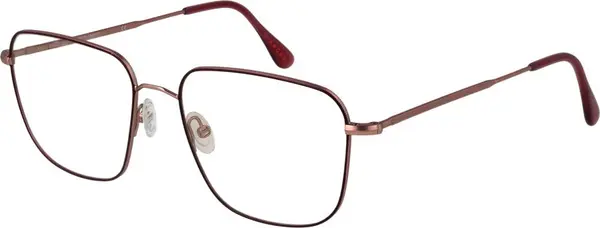 Burgundy Metal Glasses (Frames)