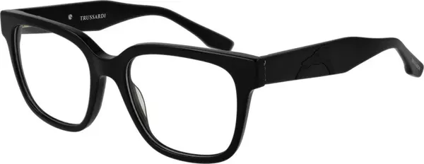 Black Acetate Glasses (Frames)