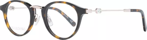 Brown Plastic Glasses (Frames)
