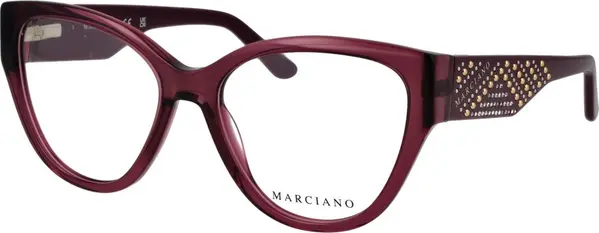 Pink Plastic Glasses (Frames)