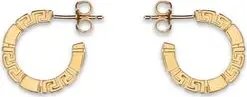 Gold Brass Earrings