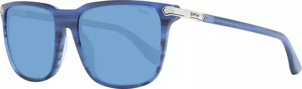 Blue Plastic Sunglasses