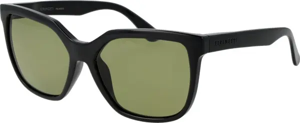 Black Plastic Sunglasses