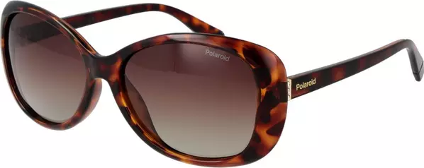 Brown Plastic Sunglasses
