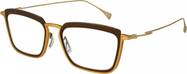 Gold Metal Glasses (Frames)