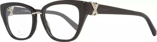Brown Plastic Glasses (Frames)