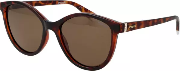 Brown Plastic Sunglasses