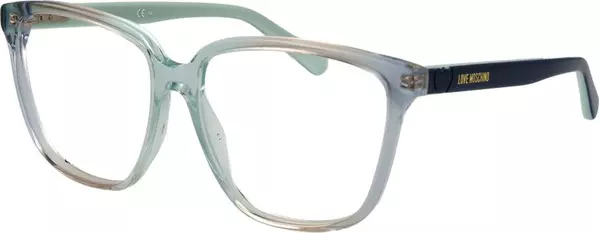 Blue Plastic Glasses (Frames)