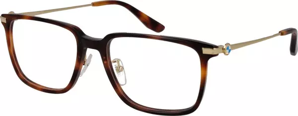 Brown Plastic Glasses (Frames)