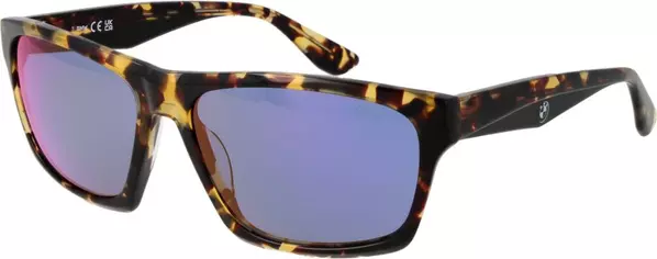 Brown Acetate Sunglasses