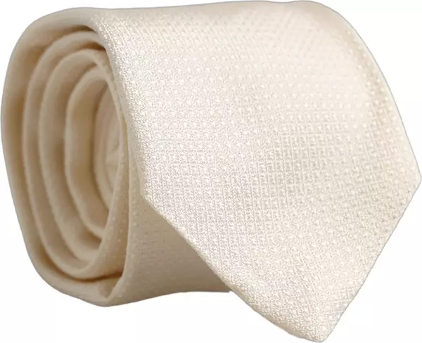 Men Off White Silk Textured Adjustable Tied Necktie Tie