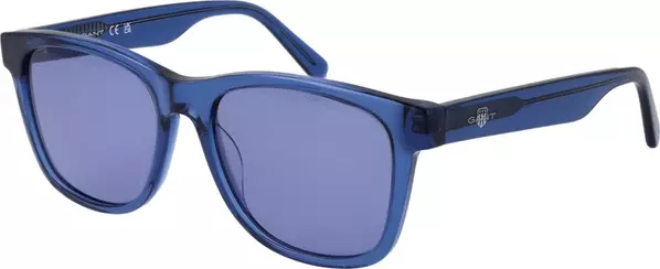Blue Acetate Sunglasses