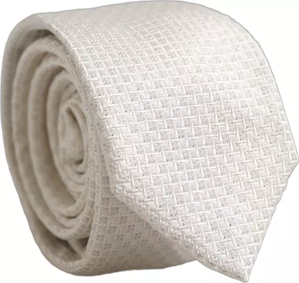 Men Off White Silk Woven Adjustable Tied Necktie Tie