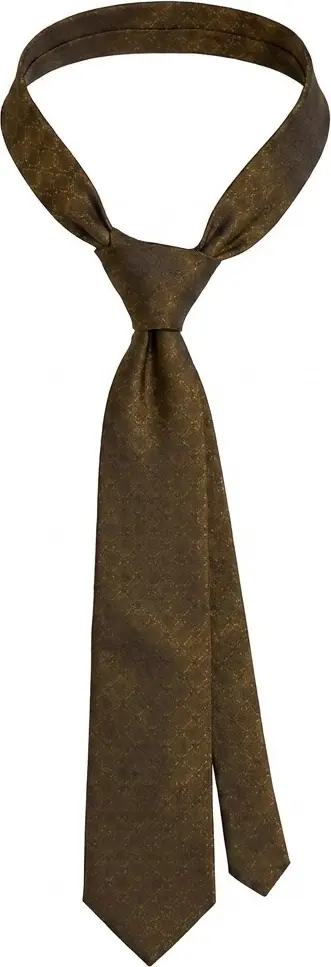 Brown Silk Tie