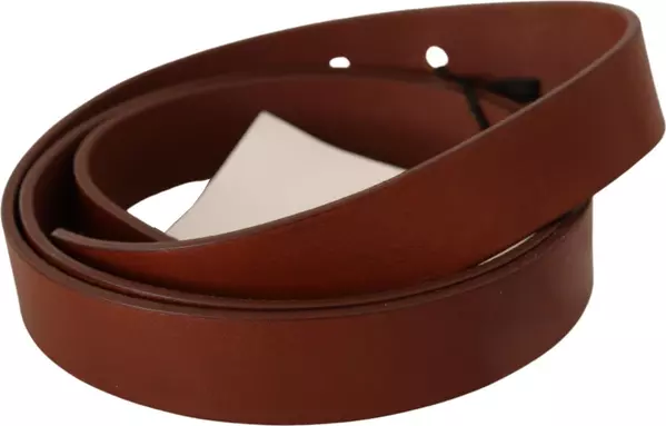 Brown Leather Silver Fastening Belt