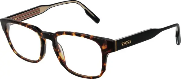 Brown Acetate Glasses (Frames)